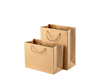 Gift Paper Bag